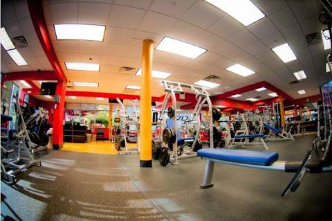 Jobs in CEA FITNESS - PORT WASHINGTON - reviews
