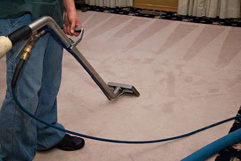 Jobs in Port Washington Carpets Cleaner - reviews